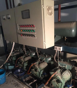 中央樱花视频免费观看維修