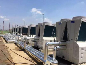 家用中央樱花视频免费观看休眠期如何保養