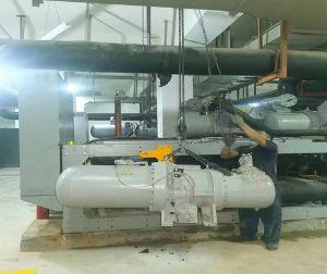 樱花草在线观看樱花视频黄在线观看複盛樱花视频黄APP維修